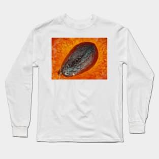 Strawberry "seed" (achene) under the microscope Long Sleeve T-Shirt